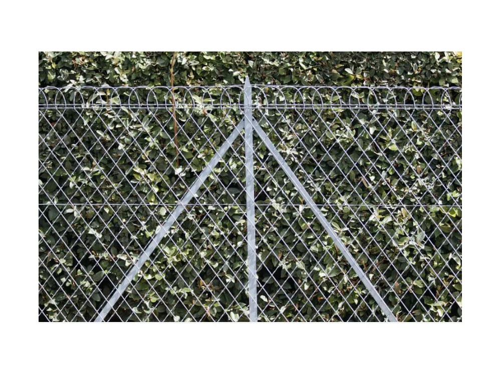 Eurofence Europlast grillage soudé vert 100x50 mm