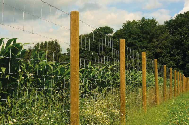 AZ Clôture Grillage Agricole noué grillage ferme