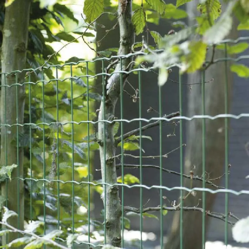 Betafence Pantanet grillage semi rigide rouleau vert plastifié