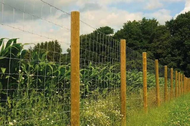 AZ Clôture Grillage Agricole noué grillage ferme